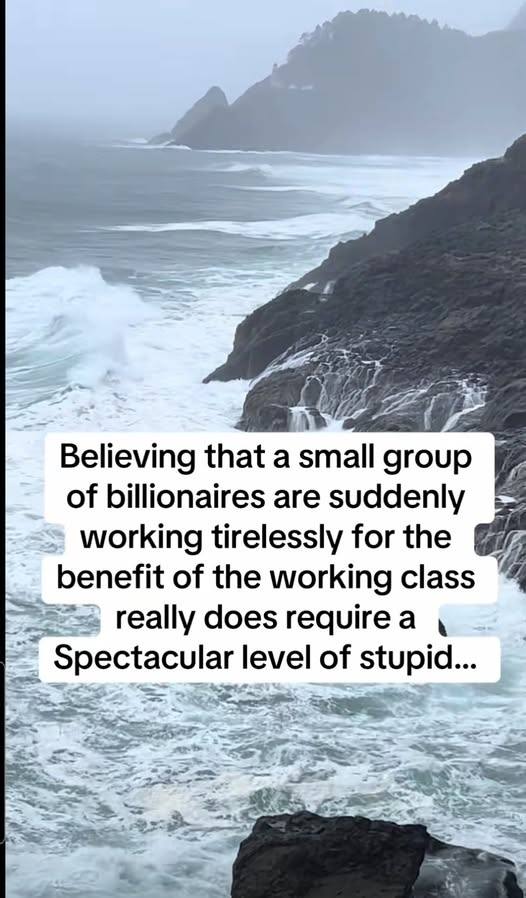 Quote over a photograph of a stormy coastline about billionaires and the working class